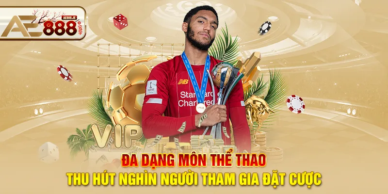 Đa dạng môn thể thao, thu hút nghìn người tham gia đặt cược